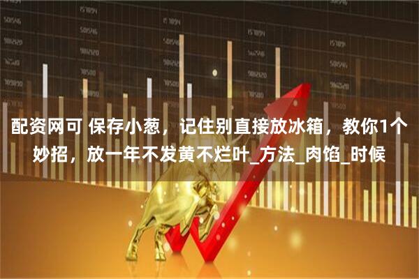 配资网可 保存小葱，记住别直接放冰箱，教你1个妙招，放一年不发黄不烂叶_方法_肉馅_时候